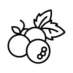 blackcurrant fruit vector icon, simple black outline line icon of blackcurrant fruit, fruit vector line art icon
