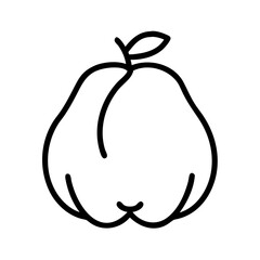 quince fruit vector icon, simple black outline line icon of quince fruit, fruit vector line art icon