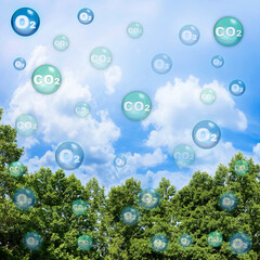 Tree canopy against a sky background with oxygen O2 and carbon dioxide CO2 molecules - Carbon...