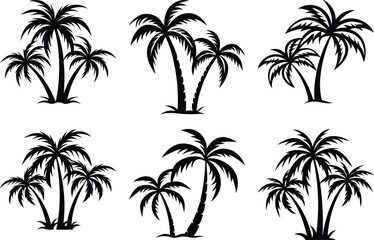Fototapeta premium plam tree silhouette on white background