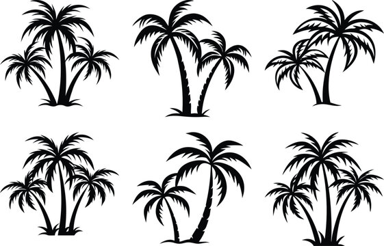 plam tree silhouette on white background