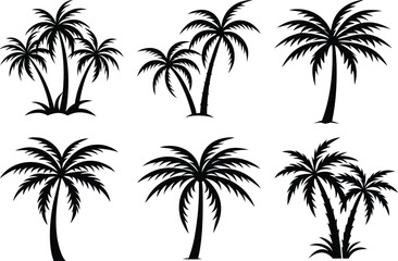 plam tree silhouette on white background