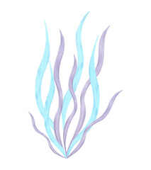 Elegant underwater plant, seaweed. Watercolor and marker illustration. Marine botanical algae. Hand drawn isolated art. Ocean flora shape. Suitable for ecology, kids room, tourism themes