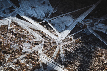 This image presents a detailed closeup view of a unique piece of ice that is resting on a natural rock surface, showcasing the fascinating interplay between the ice and natural stone