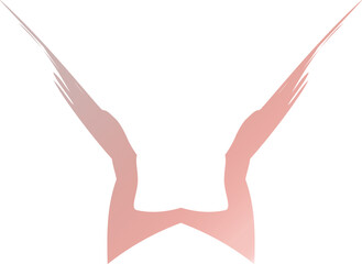 Fototapeta premium Sleek Pink Gradient Icon – Modern and Versatile Symbol for UI, Branding, and Digital Design