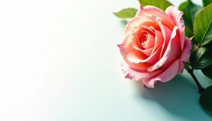 Obraz premium Crisp, bright white surface, perfect for showcasing designs , plain, web