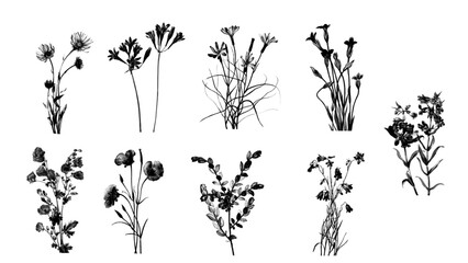 Naklejka premium A romantic black and white floral clip art cutout featuring delicate petals and subtle greenery, designed on a transparent background. Valentine-themed designs