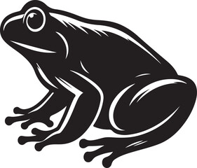 vector illustration of a frog