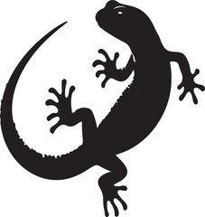 lizard on white background