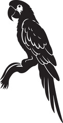 Fototapeta premium eagle on white background