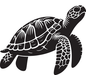 turtle on a white background