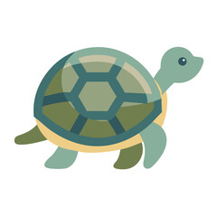  Wildlife Turtle Icon for Education
