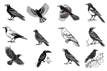set of silhouettes of birds