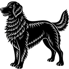 Obraz premium golden retriever dog silhouette