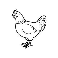 vector illustration of a chicken