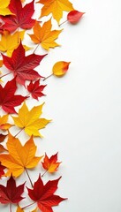 Colorful autumn leaves scattered on a white surface, leaves, botanical