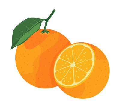 orange fruit with leaf, sliced, whole clip art preview
