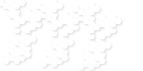 Background with hexagons . Abstract background with lines . white texture background . hexagon abstract background. Surface polygon pattern with glowing hexagon paper texture and futuristic business