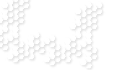 Background with hexagons . Abstract background with lines . white texture background . hexagon abstract background. Surface polygon pattern with glowing hexagon paper texture and futuristic business