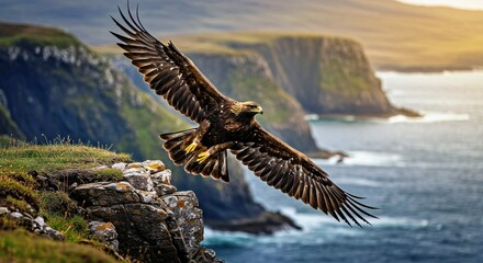A Majestic Golden Eagle Spreads Its Immense Wings as It Glides Over a Rugged Scottish Highland Cliffside, Its Golden-Brown Feathers Illuminated by the Last Rays of the Setting Sun_