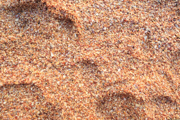 Full frame top down image of a beach made of shell fragments - Aonang beach, Krabi, Thailand