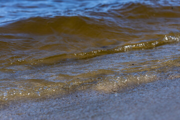Captivating Waves Lapping Gently on the Sandy Shoreline Under the Clear Blue Sky, Showcasing Nature's Beauty and Tranquility in This Serene Coastal Scene