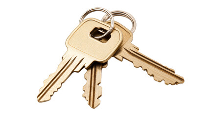 Bunch of new keys on a key ring, metallic keys, security, cut out transparent