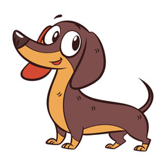 Dachshund cartoon dog on white background.