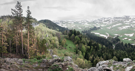 Forest on the mountain slopes of the Lago Naki plateau, Krasnodar Krai, Republic of Adygea.