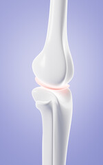 Human kneecap model, Biological and medical concepts, 3d rendering.