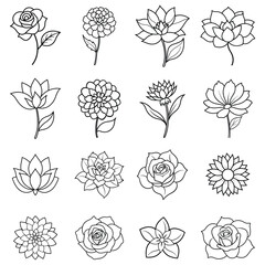 set of flowers vector line art design