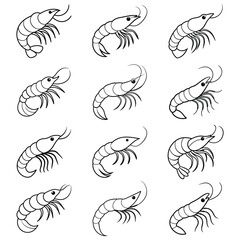 set of shrimp fish line art vector illustration design