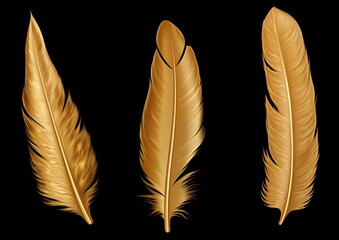 gold blue green blue purple feather