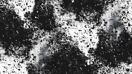 Fototapeta premium Abstract Black and White Grainy Texture Background 