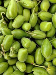 Green Chickpea