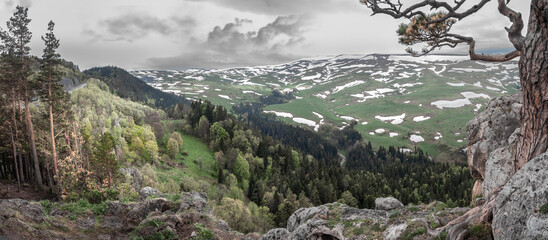 Forest on the mountain slopes of the Lago Naki plateau, Krasnodar Krai, Republic of Adygea.