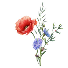 Bouquet with wild flowers and leaves. Poppy, chicory, grass composition. Floral vintage watercolor illustration isolated on white background. Decoration for poster, greeting card, wedding design.