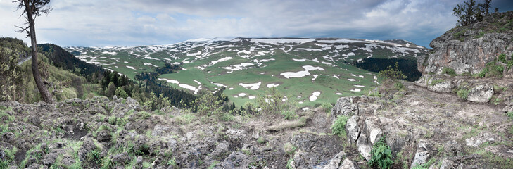 Forest on the mountain slopes of the Lago Naki plateau, Krasnodar Krai, Republic of Adygea.