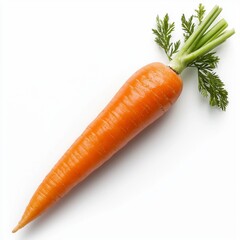Single Fresh Orange Carrot with Green Top on White Background