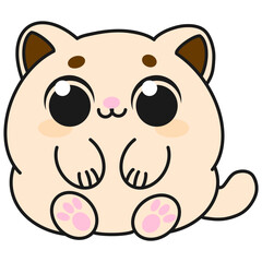 cute little cat smiling