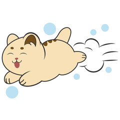 cute cat jumping with bubble