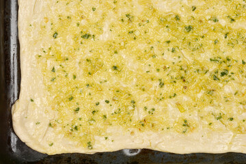 Close-up shot of raw pizza dough topped with olive oil, garlic, basil and ground pine nuts