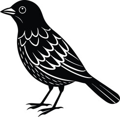 beautiful black bird vector silhouette art this is an editable and printable vector eps file
