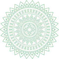 Beautiful flower art and mandala vector design