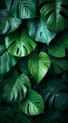 Fototapeta premium Lush Leaves in Vibrant Tropical Arrangement