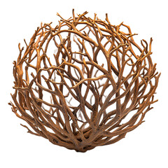 High-quality Isolated Tumbleweed Cut Out with Transparent Background for Graphic Design Use