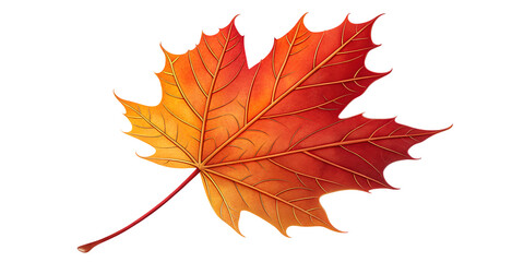 "Autumn Maple Leaf PNG – Red Orange Fall Foliage Isolated on Transparent Background
