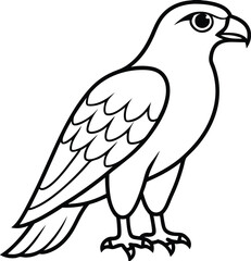 Obraz premium Beautiful black Hawk Bird vector silhouette art this is an editable and printable vector eps file