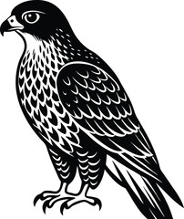 Beautiful black Hawk Bird vector silhouette art this is an editable and printable vector eps file