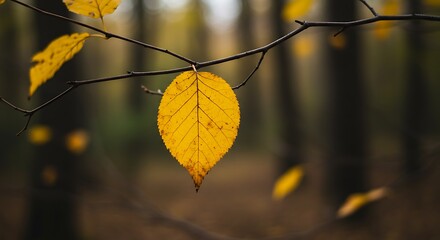 Obraz premium Golden Hour's Last Embrace AI Generated